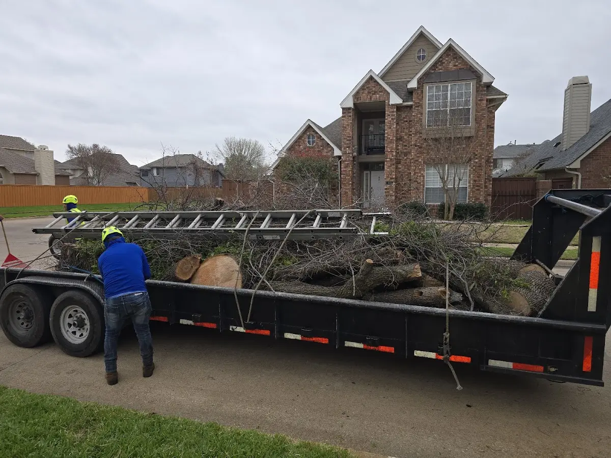 Expert Tree Fertilization with proper safety equipment in Unionville